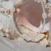 collier femme en coquillage et nacre