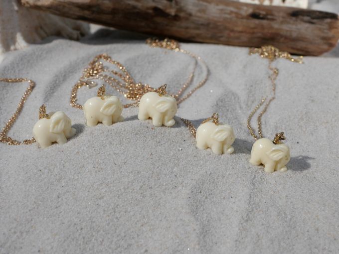 P1001134 scaled 48ae7d7a